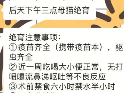 猫咪绝育时间的选择（探讨猫咪绝育的最佳时机与关键因素）