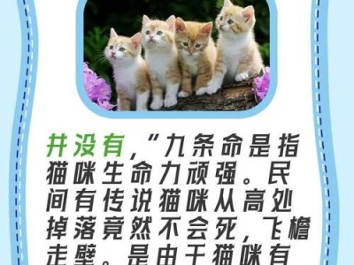 猫咪为何如此爱干净？（深入探究猫咪对清洁的追求）