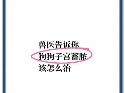 母狗子宫蓄脓手术的痊愈时间及关键因素（详解母狗子宫蓄脓手术的康复周期和注意事项）