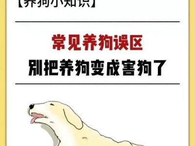 养狗必知（养狗者必看，为你的爱犬提供正确的洗澡方法）