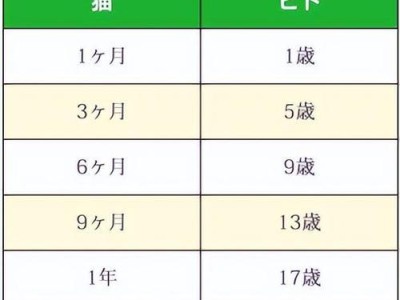 揭秘猫咪年龄换算表真相（猫咪1岁=人7岁真的准确吗？）