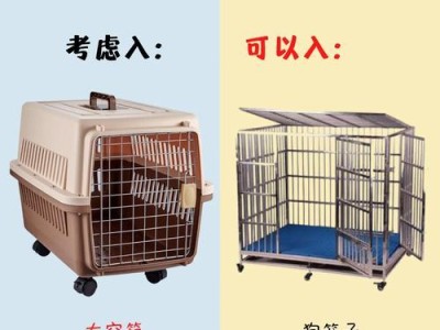 第一次养狗必备装备及注意事项（为新手狗主准备的基础设施和用品）