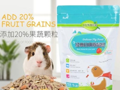 养天竺鼠（探究天竺鼠的食物及养殖技巧，助您成为一位合格的天竺鼠主人）