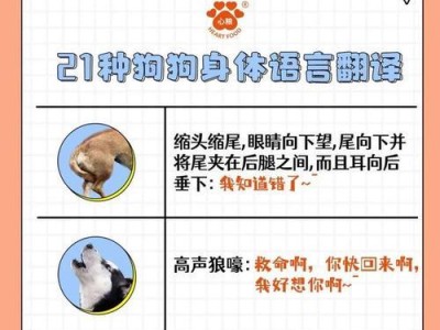 贝生吉犬的饲养方法（打造健康快乐的贝生吉犬生活）