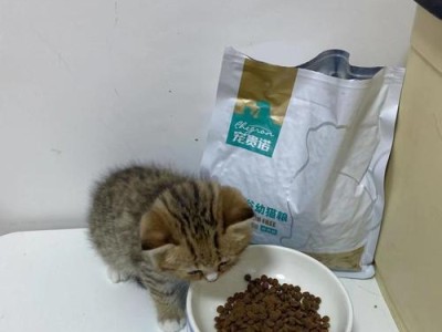 宝宝猫3个月的饮食指南（了解小猫在3个月时所需的营养，健康成长）