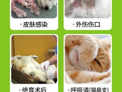 狗的消炎药使用时机及注意事项（狗的消炎药使用频率与剂量）