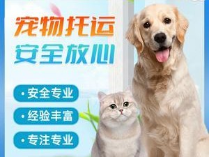如何以火车托运狗狗？（火车托运狗狗所需手续及注意事项）