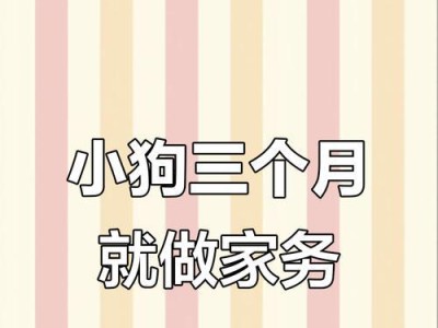 三个月小狗的睡眠需求（探究三个月小狗的睡眠习惯及保持健康成长的关键）