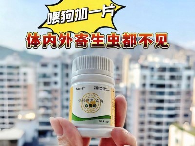 狗狗的好物（必备的狗用品推荐，让你的狗狗拥有幸福生活）
