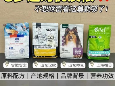 如何正确泡发幼犬狗粮（幼犬狗粮泡发时间的重要性及正确操作方法）