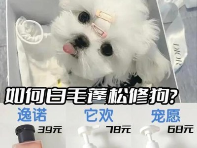 告别冬天狗狗洗澡的困扰，推荐一款狗狗干洗粉！（让你的狗狗在冬天也能保持清爽干净，尽享冬日温暖。）