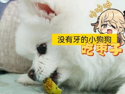 小狗为什么会啃东西？（探究小狗啃东西行为的原因及解决方法）