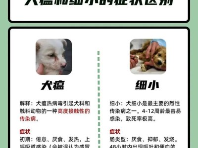 犬瘟狗狗形成抗体所需时间的研究（探索犬瘟病毒感染后免疫反应的时序）
