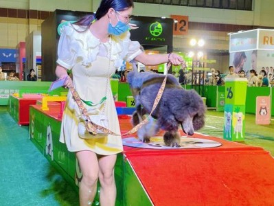 宠物殡葬业悄然兴起（宠物主人的选择与需求）