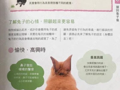 熊猫兔的饲养方法（了解熊猫兔的特点和需求，打造舒适的家庭环境）