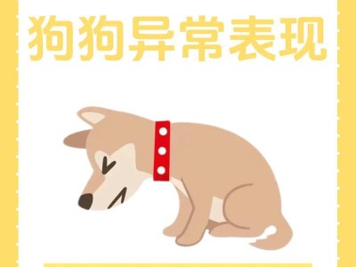 如何解决狗狗不吃饭的问题？（针对狗狗不吃饭问题的解决方法）