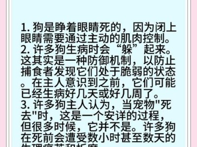 狗狗离世后的处理方式——与它永远道别的正确方式（宠物狗狗去世后不能埋葬的原因及替代性处理方式）