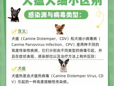 狗狗犬瘟热（了解犬瘟热的关键知识，保护你的宠物免受威胁）