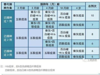 全面了解以犬五联苗（宠物保健的必备知识，保护犬只健康无忧）
