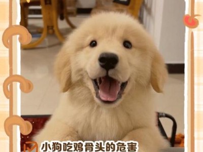 狗吃了骨头后消化需要多长时间？（揭开狗吃骨头消化的秘密，了解消化过程及时间要求）