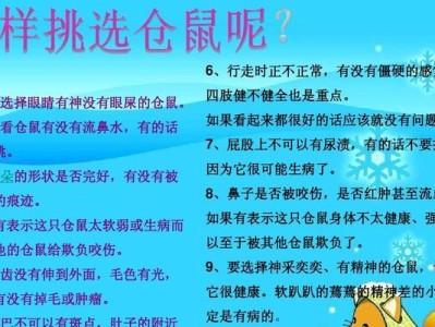 美兔饲养大全——做个优秀的兔友（关注兔儿健康，创造舒适生活环境）