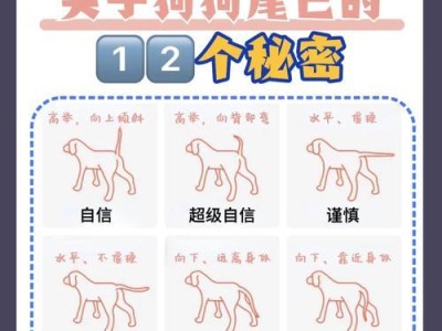 小狗尾巴绑多久会断？（研究发现绑定时间对小狗尾巴断裂的影响）