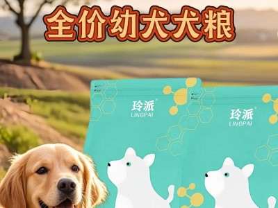 如何正确喂养两个月大的小狗（新手主人必看，宝宝狗的饮食需求与喂食方法解析）