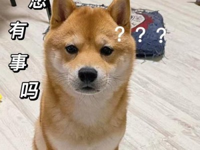为什么狗总在床上撒尿？（探究狗儿行为中的原因及解决方法）