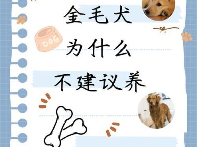 金毛为何不能长出长毛？（探究金毛犬为何无法拥有长而浓密的毛发）