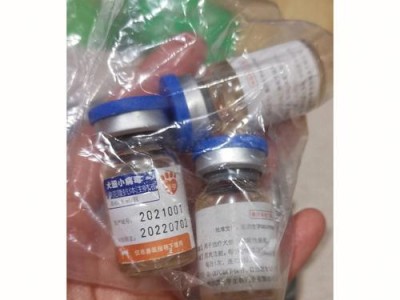 如何用消毒液预防和治疗狗狗细小？（选择合适的消毒液是关键！）