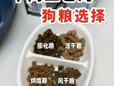 狗粮香味的奥秘（科学揭秘狗粮香味的吸引力，解析狗狗的味觉神秘）