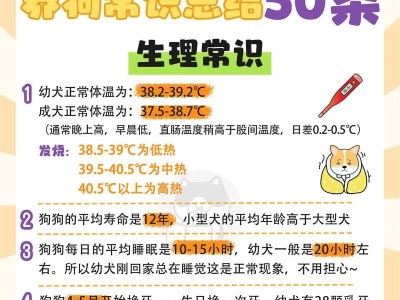 养狗攻略（小泰迪身上长癣要如何处理？）