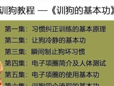 让你的以巴仙吉犬成为最佳伙伴——饲养方法详解（如何养护以巴仙吉犬，让它健康快乐成长？）