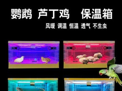 雏鸟保温（为初生小鸟提供舒适的保温环境，让它们茁壮成长）
