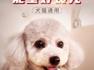 如何解决狗狗不爱吃营养膏的问题（三种喂食方法让宠物狗享受健康美食）