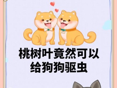 小狗为什么容易起跳蚤？（探究小狗身上跳蚤繁殖的原因与防治措施）