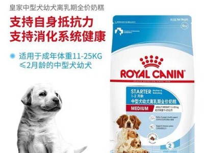 边牧吃奶糕的时间长短（探索边牧吃奶糕的最佳时机和频率）