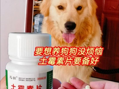 狗狗有皮屑怎么办？教你几个去屑小妙招！（让你的爱犬告别皮屑困扰，恢复健康毛发！）