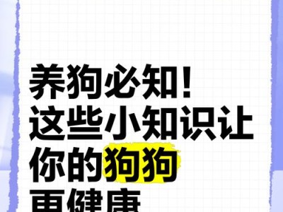 养狗必知！新手养狗需要注意的事项（从零基础开始，给你的狗狗最好的照顾！）