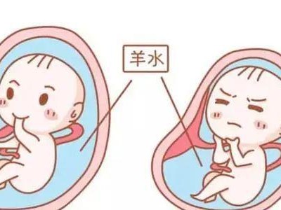 猫咪产后出血导致贫血的护理方法（怎样帮助猫咪恢复健康？）