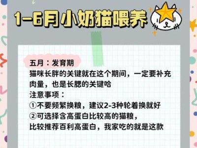 小猫咪的断奶时机（揭秘小猫咪断奶的最佳时机与方法）