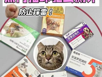 猫咪驱虫多久有效果？（探讨驱虫效果持续时间及关键因素）