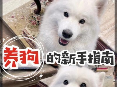 如何正确清理狗狗肛门？（选择合适的工具和方法来保持狗狗肛门的卫生）