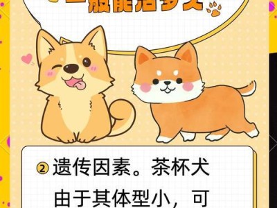 茶杯犬的可爱魅力与养殖难题（茶杯犬的魅力不减，但为何越来越少人选择养殖？）