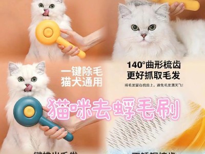 短毛猫的梳毛频率与注意事项（宠物短毛猫每周梳毛一次的关键原因及技巧分享）