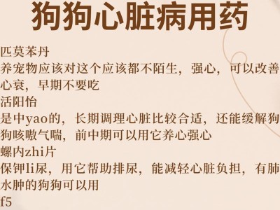 狗狗咳嗽问题的解决方法（选择适合狗狗的药物是关键）