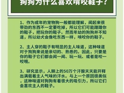 金毛犬配种的最佳时机与频率（了解金毛犬的繁殖周期和建议配种时间，为您的宠物做好准备）