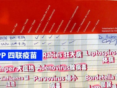 狗狗打疫苗后需要隔离多久？（疫苗隔离期限及必要性解析）