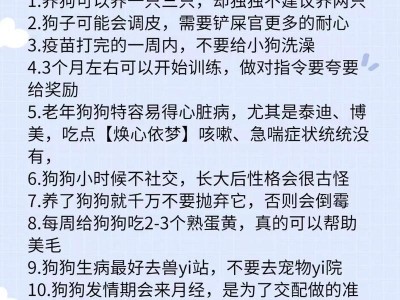 如何合理配狗以及相关技巧（提升你和你的宠物的配狗经验和技巧）