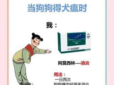 犬瘟病（了解传染期长短，保护你的狗狗吧！）